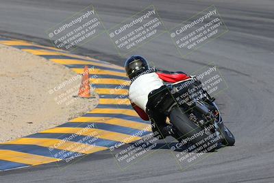 media/Feb-04-2023-SoCal Trackdays (Sat) [[8a776bf2c3]]/Turn 10 Backside (1010am)/